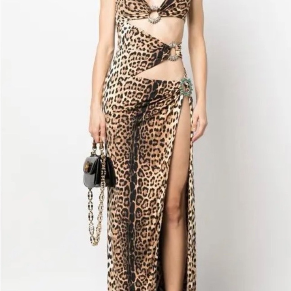 Roberto Cavalli Animal Print Gown with Cutout only I wore it once